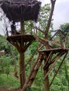 North Lombok, Itourist attractions with a natural concept in North Lombok Regency, tree houses made of wood and thatched roofs