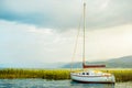 North macedonia. Ohrid. White sailboat on Ohrid lake beside reeds in sunset. Horizontal photo Royalty Free Stock Photo