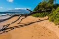 North Maui and Driftwood on The Beach of Charley Young Beach Royalty Free Stock Photo