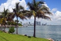 North Miami Skyline Viewed From the Venetia Causeway Royalty Free Stock Photo