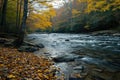 North Mills River, North Carolina