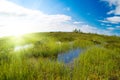 North mountain tundra