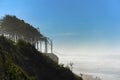 Scenic View of Coastline near Newport, Oregon