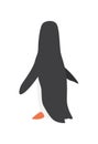 North pole arctic fauna. Polar penguin vector illustration in flat style. Little penguin fishing in the north. Arctic