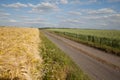 North Rhine-Westphalia, grain fields, barley field, whe Royalty Free Stock Photo