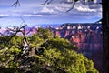North Rim Grand Canyon, Arizona, USA Royalty Free Stock Photo