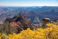 North Rim Overlook Grand Canyon National Park Arizona Royalty Free Stock Photo