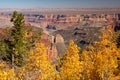 North Rim Overlook Grand Canyon National Park Arizona Royalty Free Stock Photo