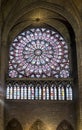 North rose stained glass window with a row of figures below inside of Notre-Dame de Paris cathedral, Paris