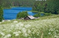 North Russian village