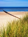 North sea beach with breakwaters Royalty Free Stock Photo