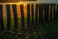 North Sea beach in Cadzand, Zeeland, Netherlands Royalty Free Stock Photo