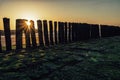 North Sea beach in Cadzand, Zeeland, Netherlands Royalty Free Stock Photo