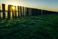 North Sea beach in Cadzand, Zeeland, Netherlands Royalty Free Stock Photo