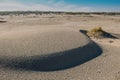 North sea beach of the island Terschelling in the Netherlands