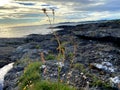 At the North Sea in Randaberg in Norway