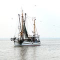 North Sea shrimp boats Royalty Free Stock Photo