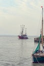 North Sea shrimp boats Royalty Free Stock Photo