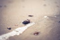 North sea waves ob sand beach with mollusk shells, Holland Royalty Free Stock Photo