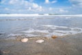 North sea waves ob sand beach with mollusk shells, Holland Royalty Free Stock Photo