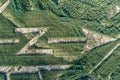 North sign made from trees aerial drone photo