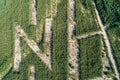 North sign made from trees aerial drone photo