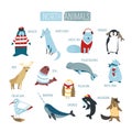 North or South polar animals vector cartoon design