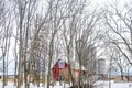 North Star, Barn Quilt, Through the Trees Royalty Free Stock Photo