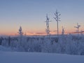 North of Sweden, mountains in Arjeplog lapland Royalty Free Stock Photo