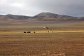 North Tibetan Plateau Royalty Free Stock Photo