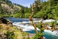 North Umpqua River Royalty Free Stock Photo