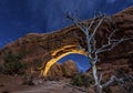 North WIndow and Moonlit Tree