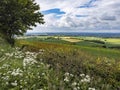 North Yorkshire Countryside - England Royalty Free Stock Photo