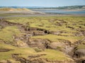 Northam Burrows on the Torridge and Taw estuary. Beautiful landscape, interesting geology and site of special scientific interest