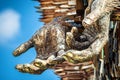 Northampton, UK - May 5, 2022: Knife Angel sculpture displayed outside The Parish Church Of All Saints Royalty Free Stock Photo