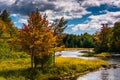 Northeast Creek, on Mount Desert Island in Bar Harbor, Maine. Royalty Free Stock Photo