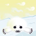 Snow seal Royalty Free Stock Photo