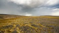 Tundra landscape Royalty Free Stock Photo