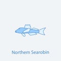 northen searobin 2 colored line icon. Simple light and dark blue element illustration. northen searobin concept outline symbol des