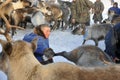 Northern aboriginals. Russia. Yamal. Nadym.