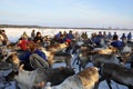 Northern aboriginals. Russia. Yamal. Nadym.
