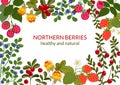 Northern berries frame. Vector horizontal background with lingonberry, cranberry, bilberry, cloudberry, raspberry and Royalty Free Stock Photo