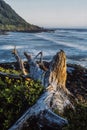 Northern California coast Royalty Free Stock Photo
