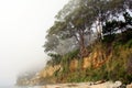 Northern California coastline Royalty Free Stock Photo