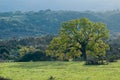 Northern California spring landscape Royalty Free Stock Photo