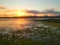 Wetlands Northern California Royalty Free Stock Photo