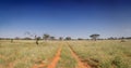 Northern Cape Landscape