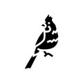 northern cardinal bird exotic glyph icon vector illustration Royalty Free Stock Photo