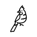 northern cardinal bird exotic line icon vector illustration Royalty Free Stock Photo