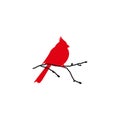 Northern cardinal and black branch. Redbird Christmas card